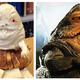 Image for article titled A Star Wars-Themed Astronomy Tea Party at UC Berkeley